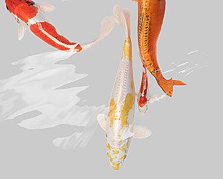 《崩坏3》Steam特别差评仅18%好评：画质不如原神 老蓝屏